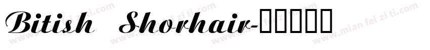 Bitish Shorhair字体转换